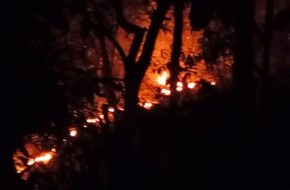 Kailashahar: Agarwood Garden burnt in a sabotage fire in Gaurnagar Kailashahar: Agarwood Garden burnt in a sabotage fire in Gaurnagar